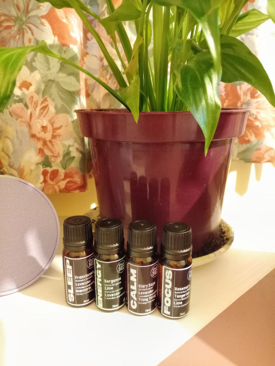 Four small bottles of Diffuser Blends aromatherapy oils in front of a potted plant