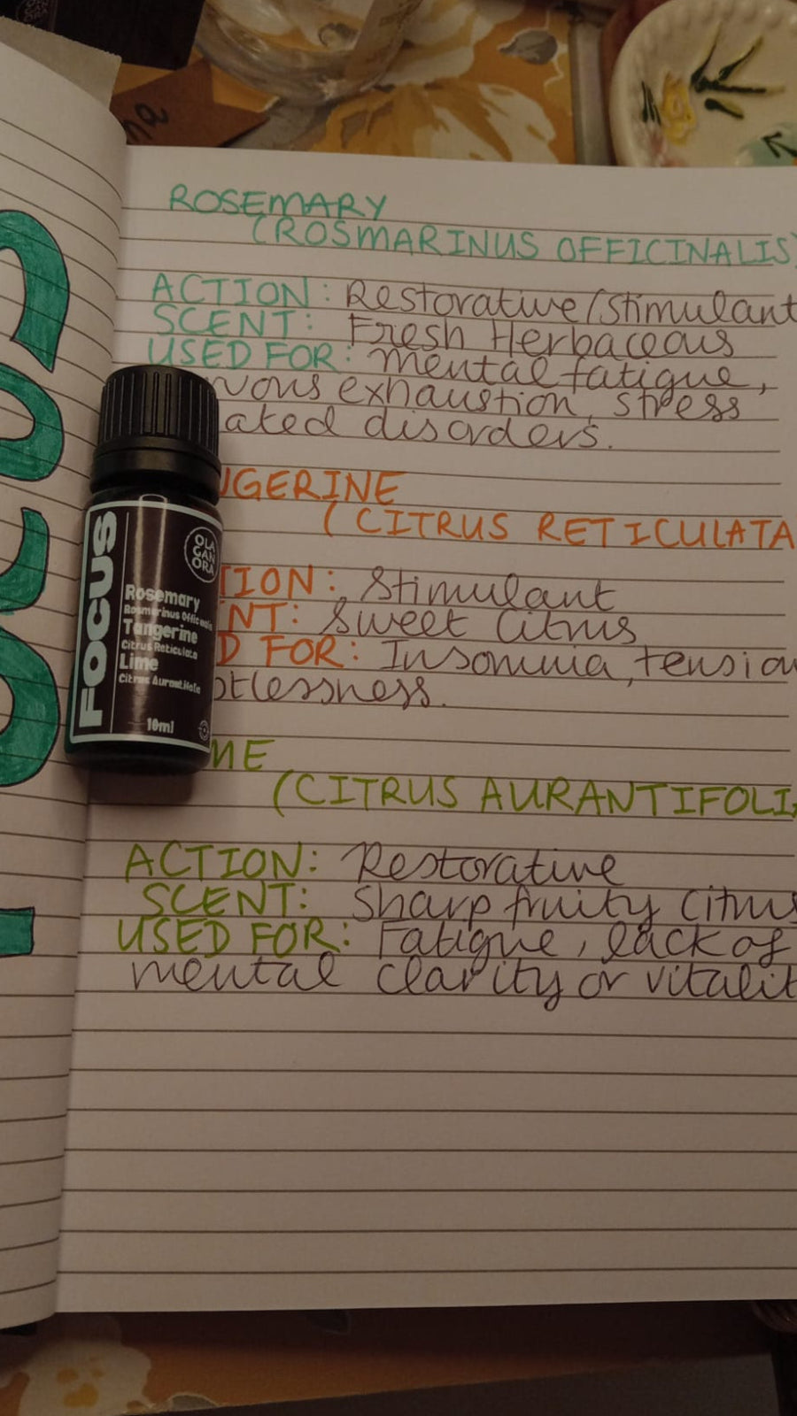 writing about essential oils in the Focus blend rosemary, tangerine and lime and their actions