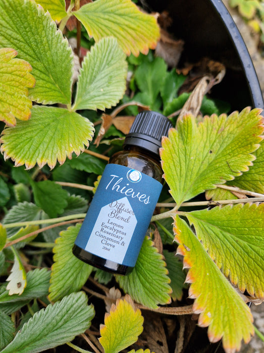 Thieves Essential Oil Blend – Natural Aromatherapy – Made in Ireland