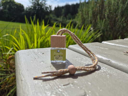 Refillable hanging Diffusers| Natural Car Air Freshener